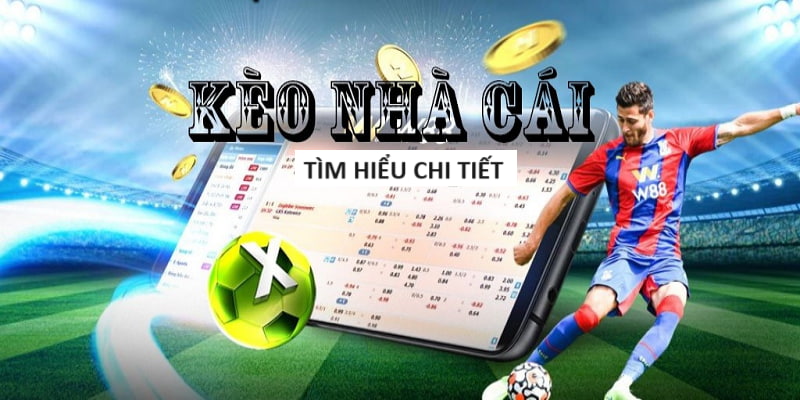 VWIN 🎖️ TRANG CHỦ ĐĂNG KÝ CÁ CƯỢC BÓNG ĐÁ UY TÍN VWIN 🎖️ TRANG CHỦ ĐĂNG KÝ CÁ CƯỢC BÓNG ĐÁ UY TÍN